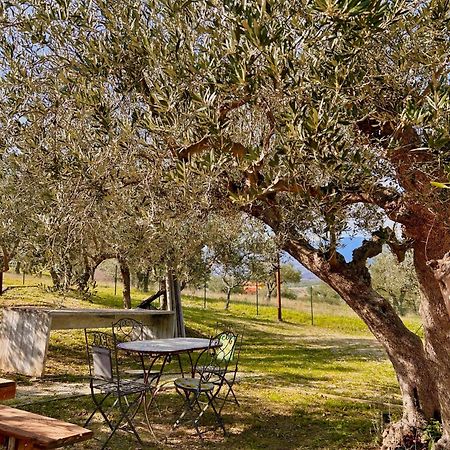 Oasi Macerina Alanno Exterior foto