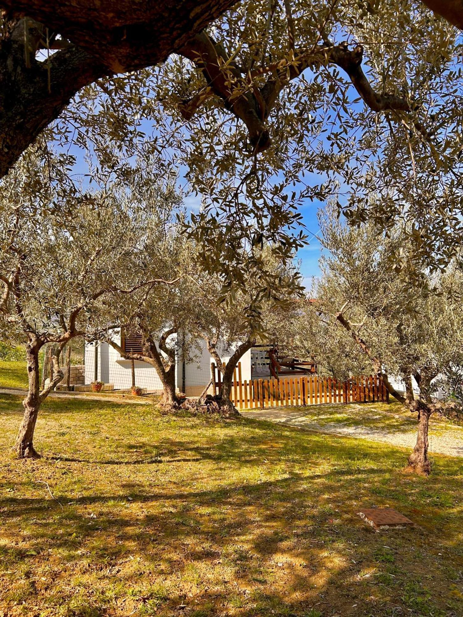 Oasi Macerina Alanno Exterior foto