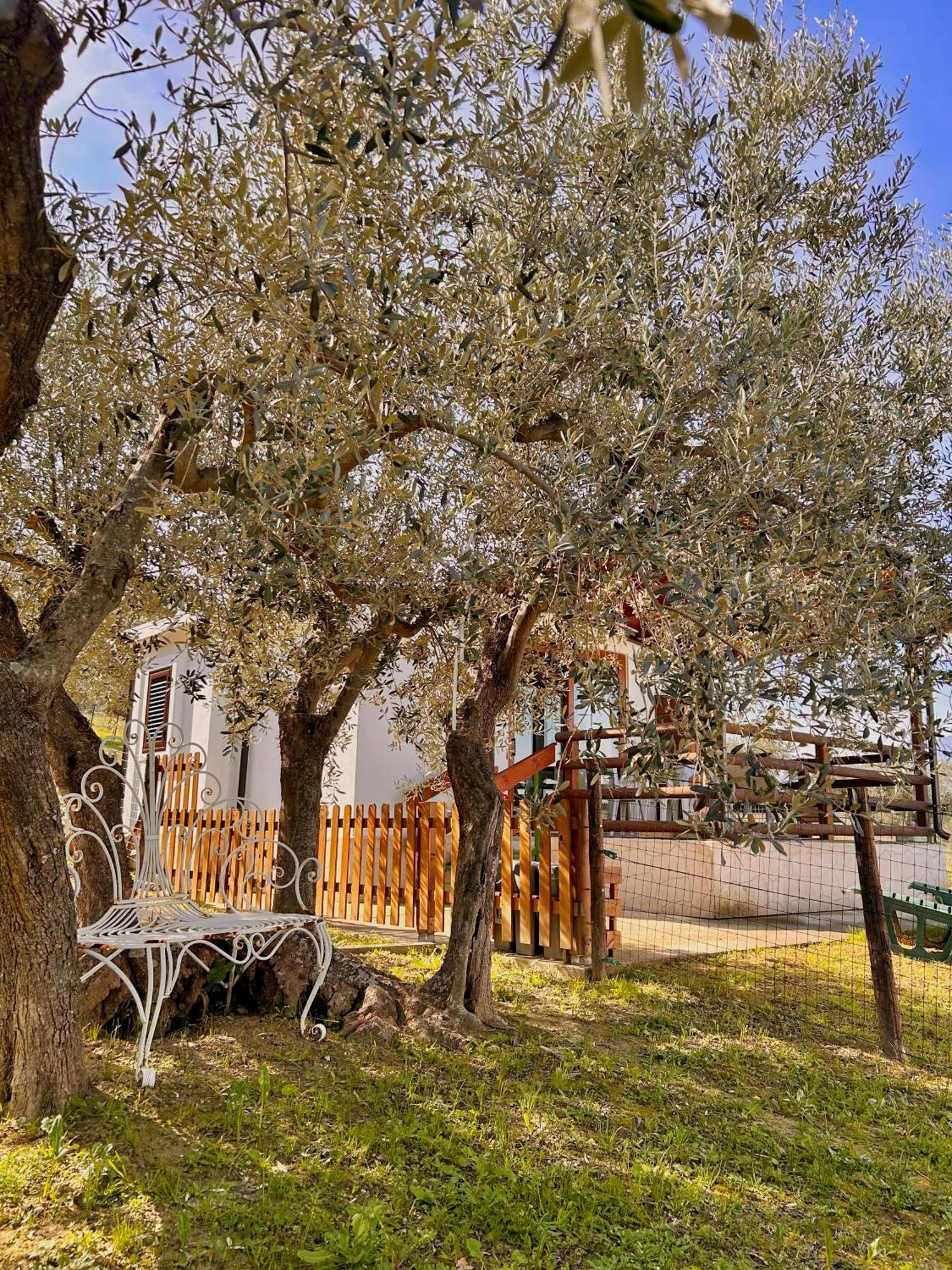 Oasi Macerina Alanno Exterior foto