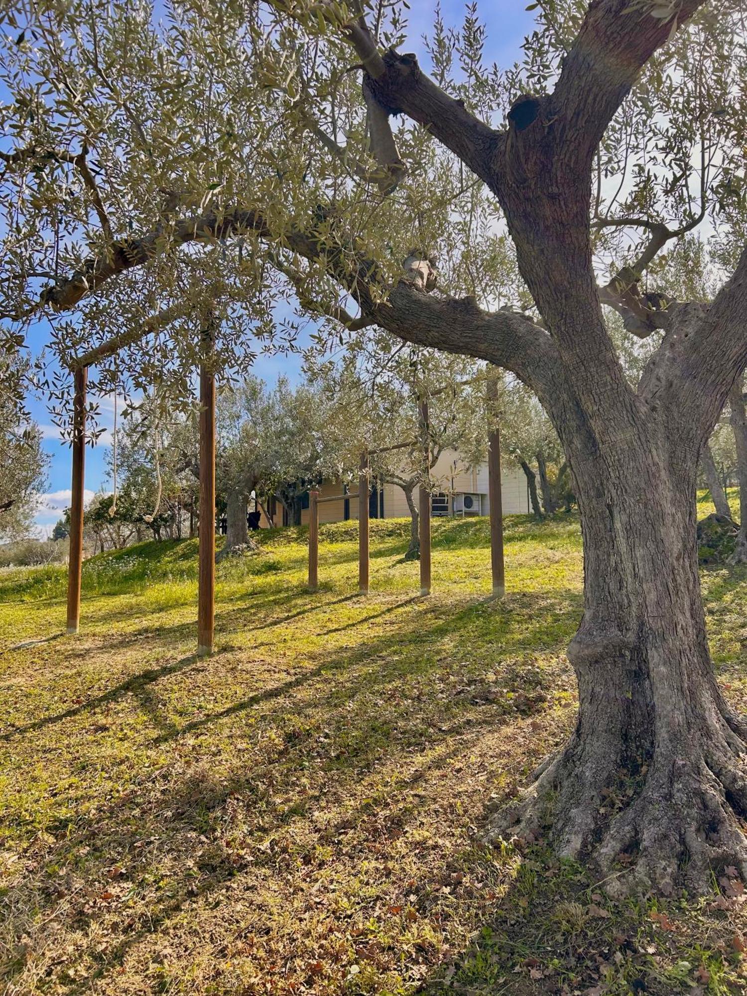 Oasi Macerina Alanno Exterior foto