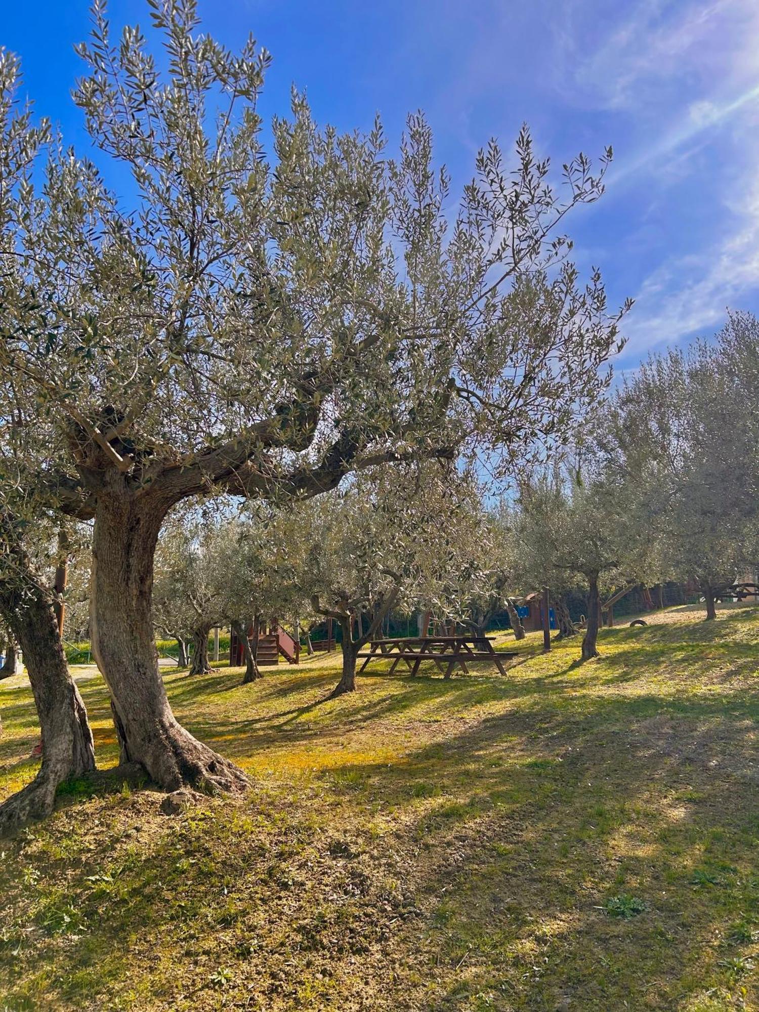 Oasi Macerina Alanno Exterior foto