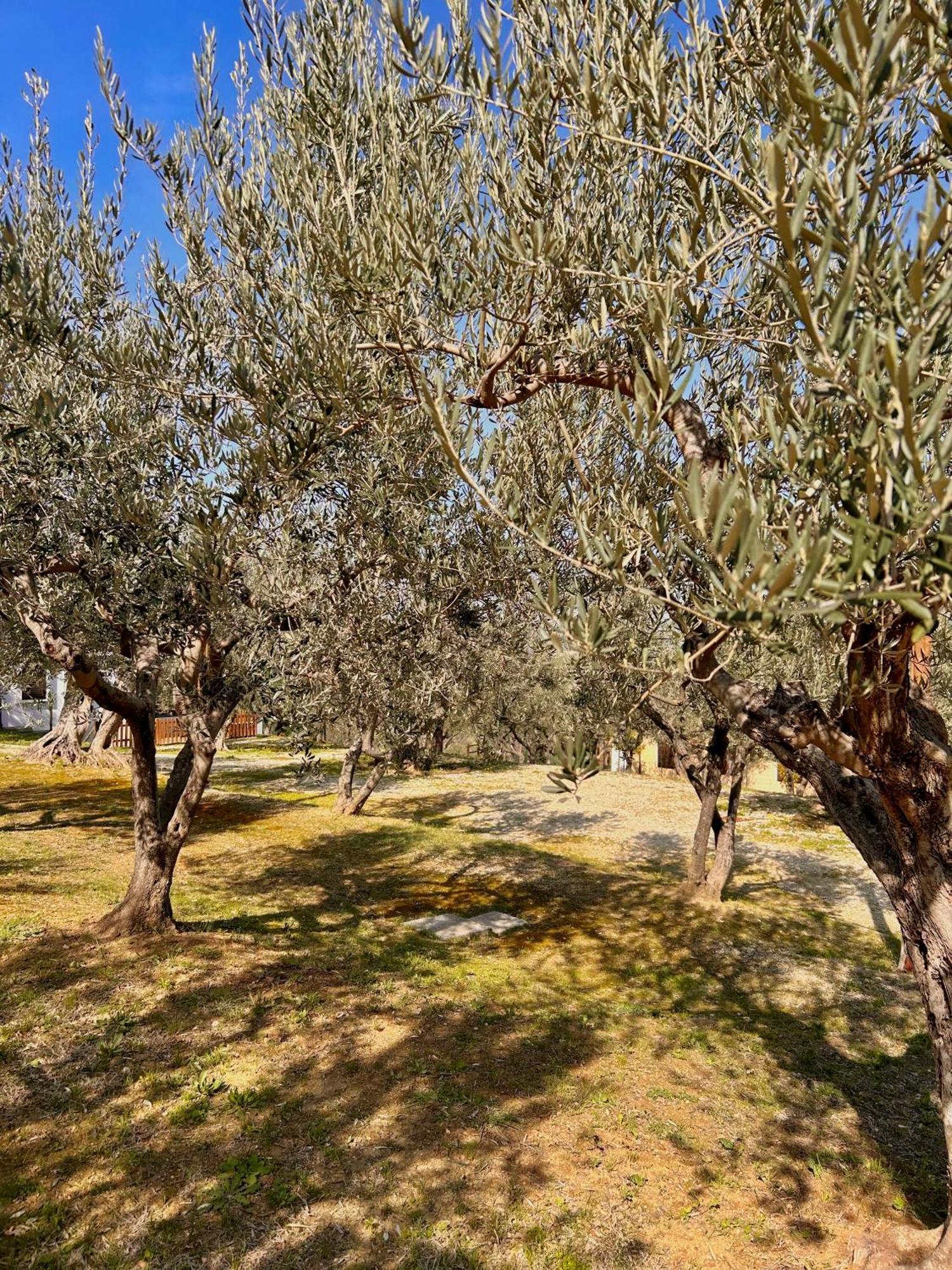 Oasi Macerina Alanno Exterior foto