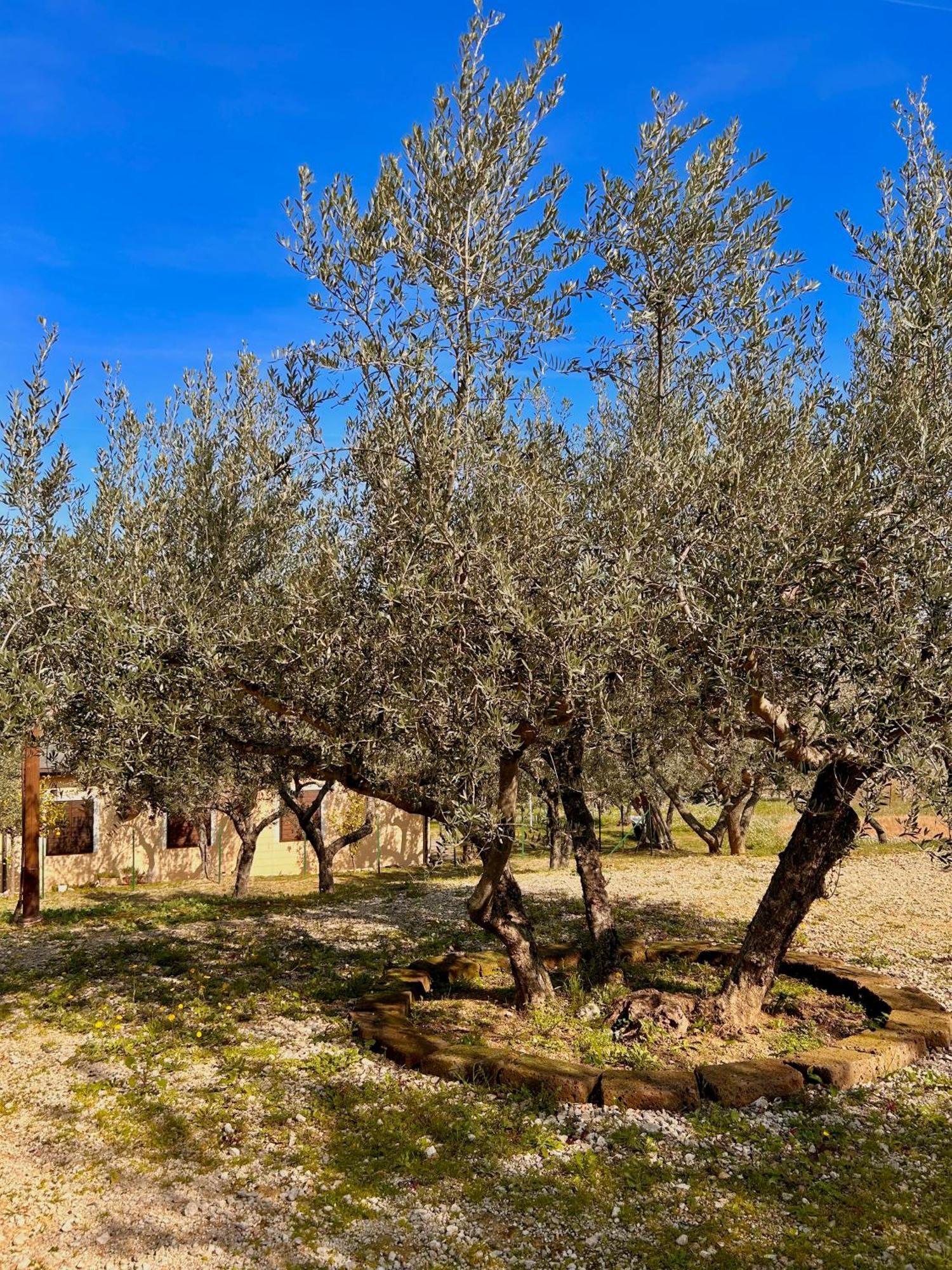 Oasi Macerina Alanno Exterior foto