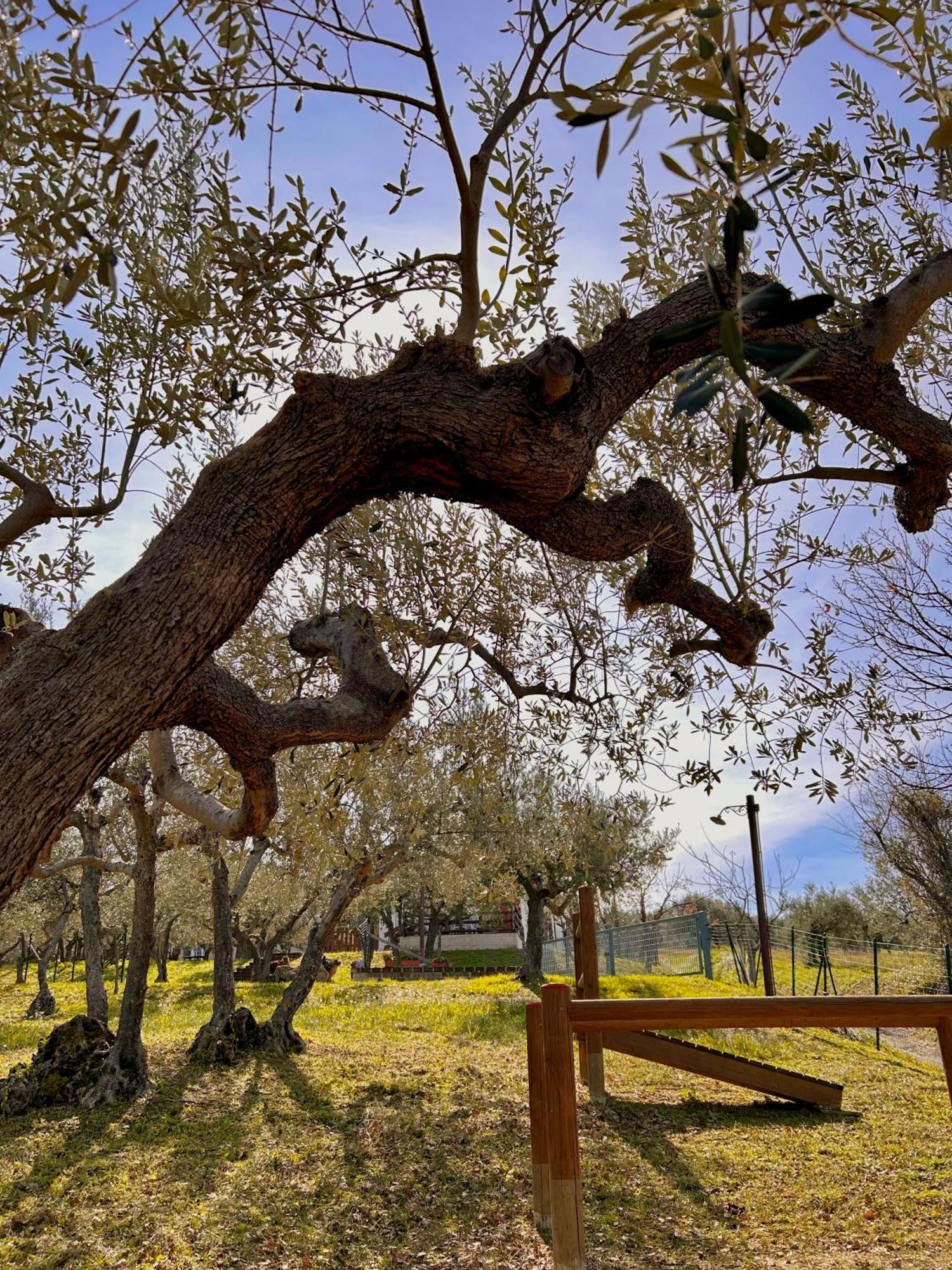 Oasi Macerina Alanno Exterior foto