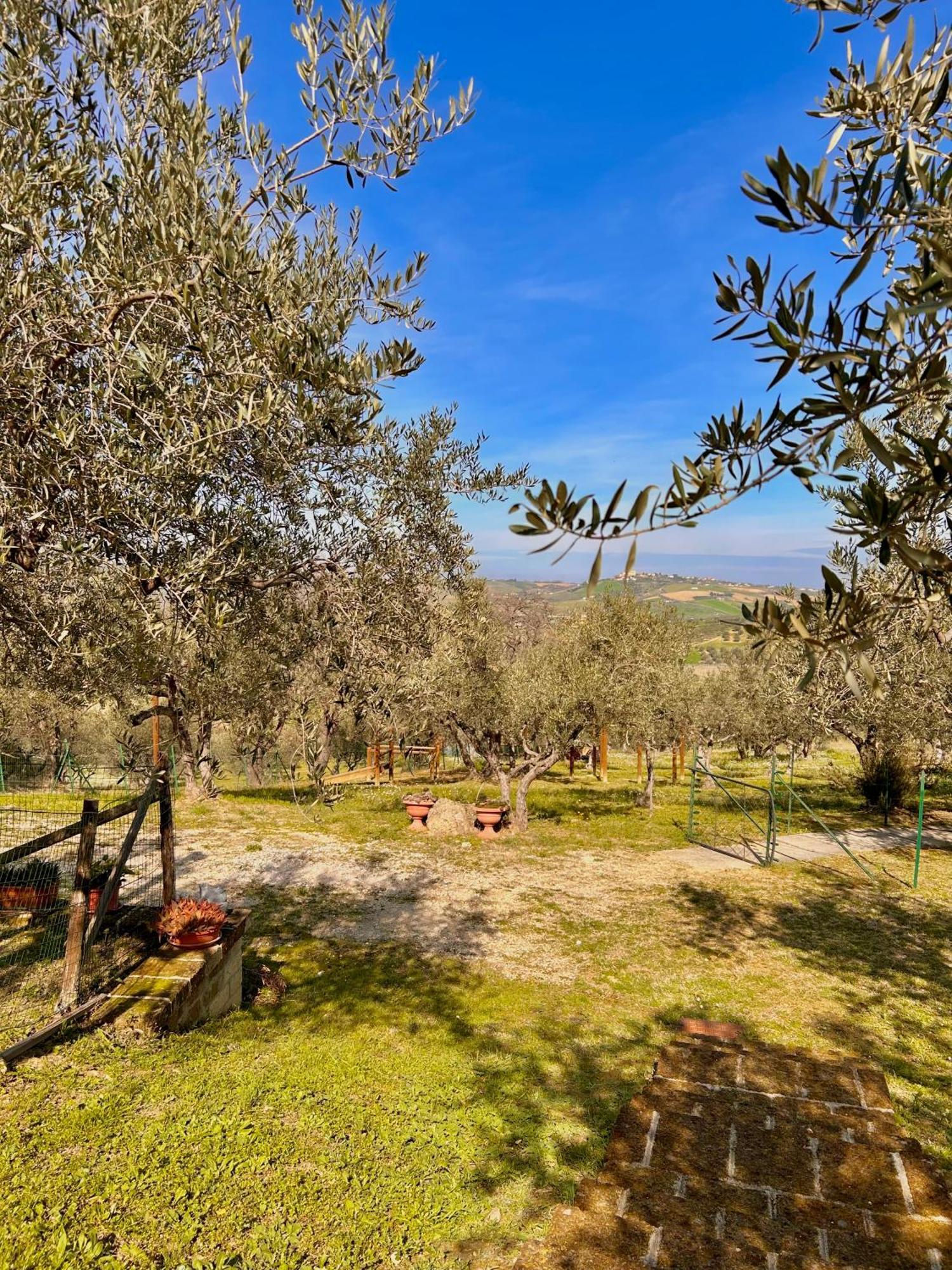 Oasi Macerina Alanno Exterior foto