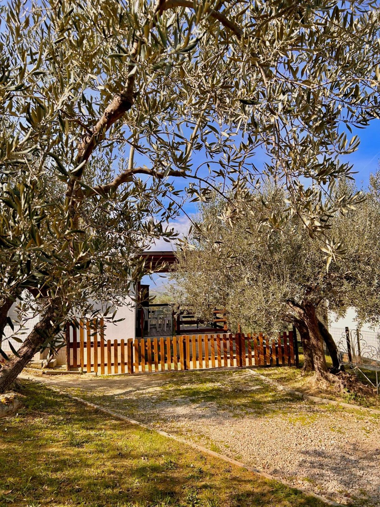 Oasi Macerina Alanno Exterior foto
